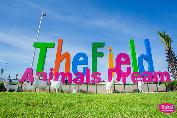 The Field Animals Dream