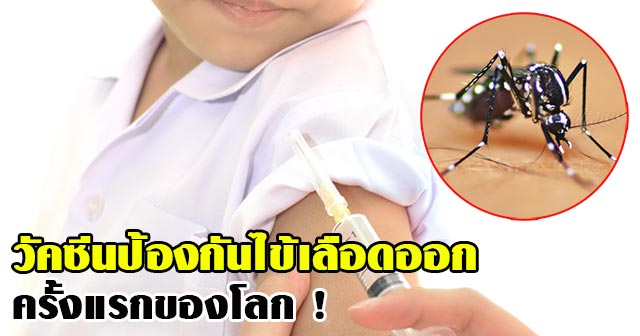 วัคซีนป้องกันไข้เลือดออก วัคซีนป้องกันไข้เลือดออก