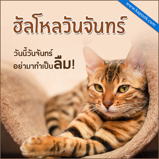 ดูดวงรายวัน 15 สิงหาคม 2559