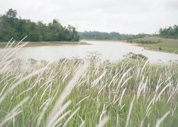 เขาใหญ่ เขาใหญ่
