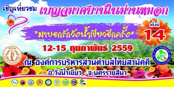 งานเบญจมาศบานในม่านหมอก