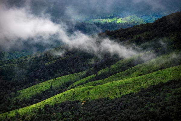 ดอยสูงในประเทศไทย ฟิตร่างกายให้พร้อมแล้วไปพิชิตกัน