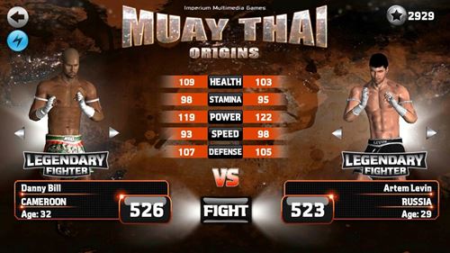 Muay Thai - Fighting Origins