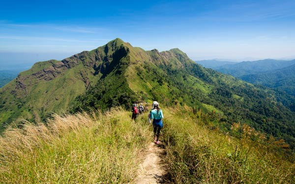 เขาช้างเผือก