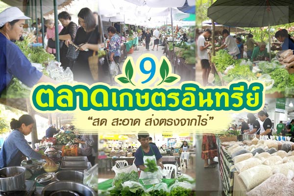 ตลาดเกษตรอินทรีย์