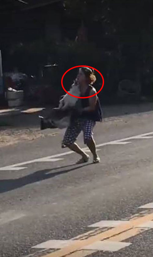 เปิดใจสาวช่วยสุนัขถูกรถชน จนโดนกัดหน้า