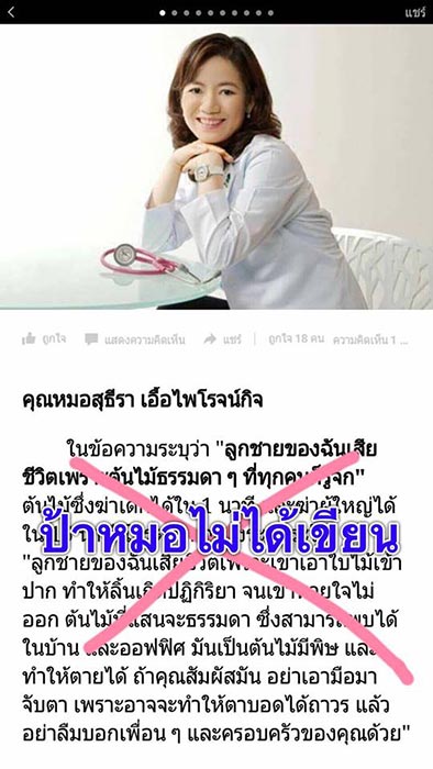 ต้นสาวน้อยประแป้ง