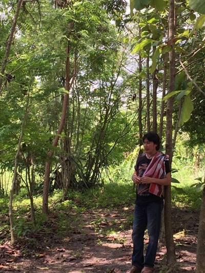 เชษฐ์ สไมล์บัฟฟาโล่ เชษฐ์ สไมล์บัฟฟาโล่
