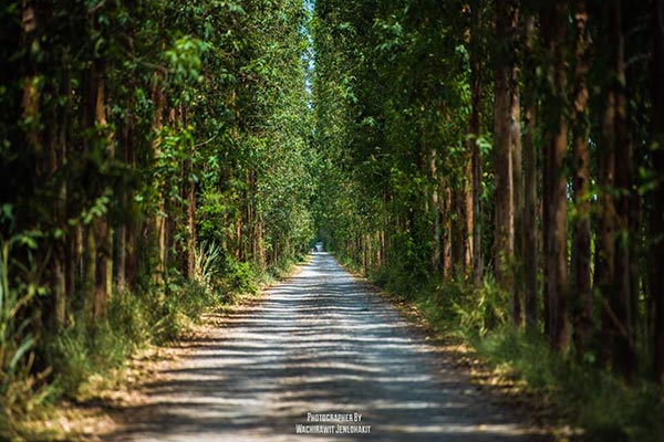 ที่เที่ยวใกล้กรุงเทพฯ ที่เที่ยวใกล้กรุงเทพฯ