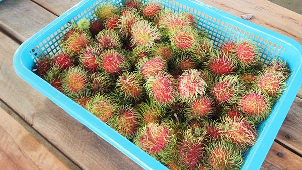 บุฟเฟ่ต์ผลไม้