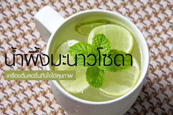 19 สูตรเครื่องดื่มสุขภาพสำหรับแม่