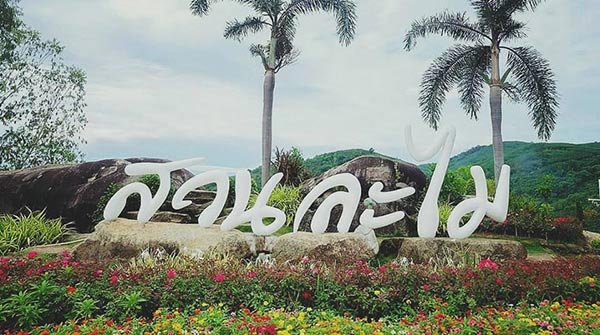 บุฟเฟ่ต์ผลไม้ 2560