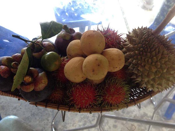 บุฟเฟ่ต์ผลไม้ 2560