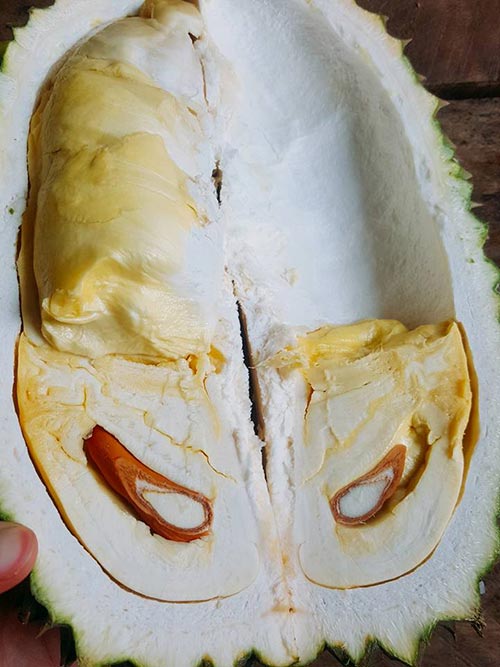 บุฟเฟ่ต์ผลไม้ 2560