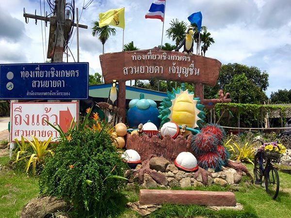 บุฟเฟ่ต์ผลไม้ 2560