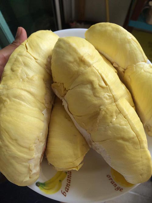 บุฟเฟ่ต์ผลไม้ 2560