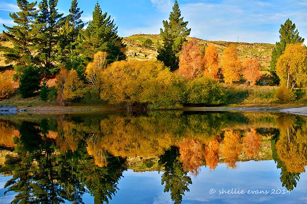 ทะเลสาบนิวซีแลนด์
