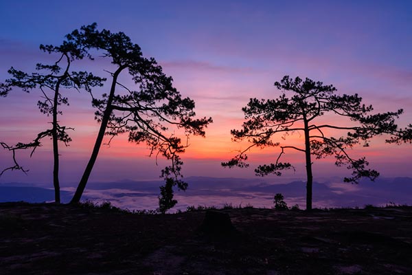 ภูกระดึง 