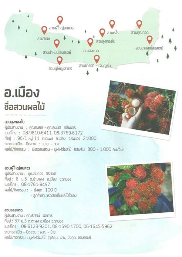 สวนผลไม้ระยอง