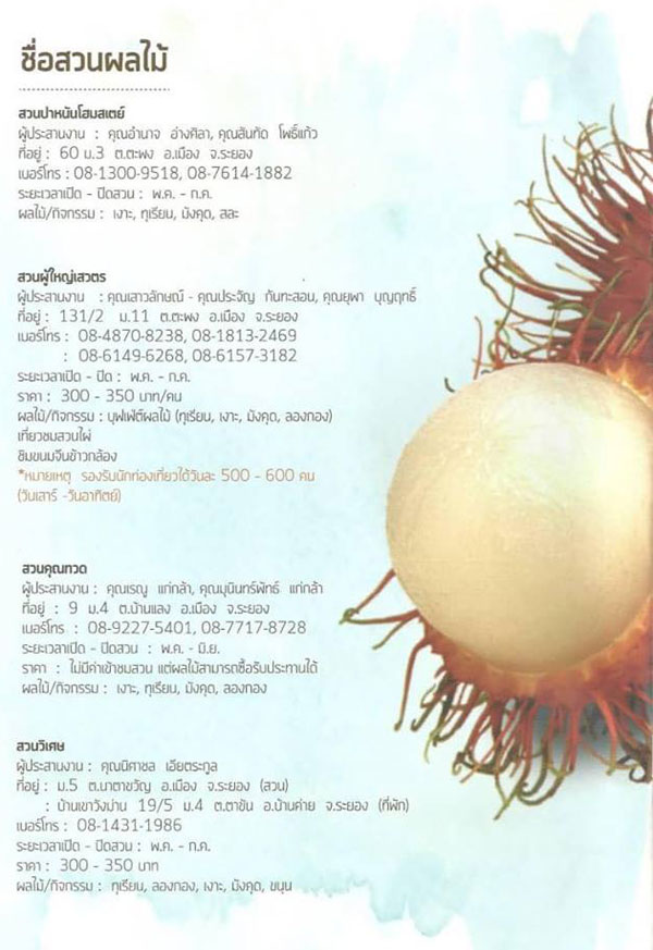 สวนผลไม้ระยอง