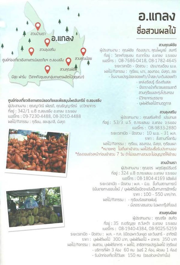 สวนผลไม้ระยอง