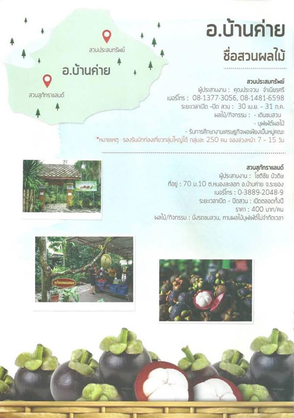 สวนผลไม้ระยอง