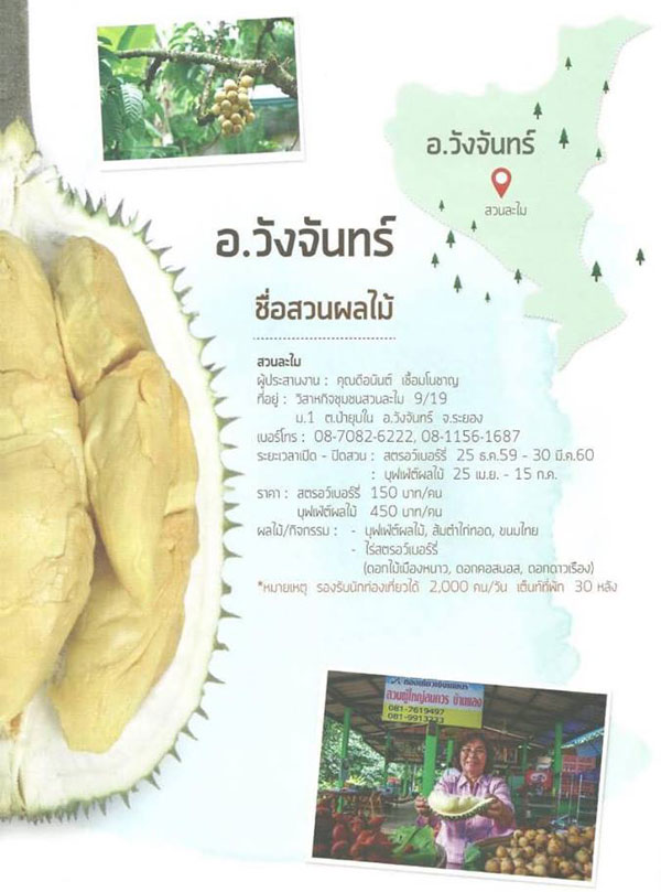 สวนผลไม้ระยอง