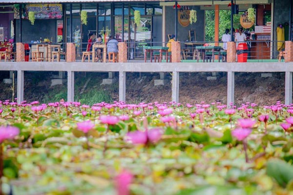 สถานที่พาผู้สูงอายุเที่ยวใกล้กรุงเทพ