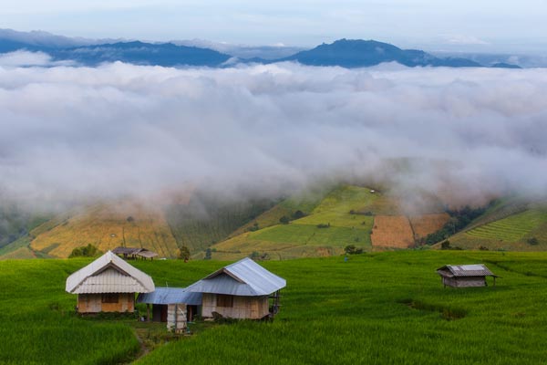 à¸œà¸¥à¸à¸²à¸£à¸„à¹‰à¸™à¸«à¸²à¸£à¸¹à¸›à¸ à¸²à¸žà¸ªà¸³à¸«à¸£à¸±à¸š à¹à¸¡à¹ˆà¹à¸ˆà¹ˆà¸¡ à¸ˆà¸±à¸‡à¸«à¸§à¸±à¸”à¹€à¸Šà¸µà¸¢à¸‡à¹ƒà¸«à¸¡à¹ˆ