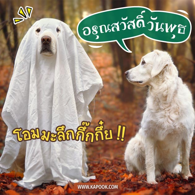 ดูดวงรายวัน ดูดวงรายวัน