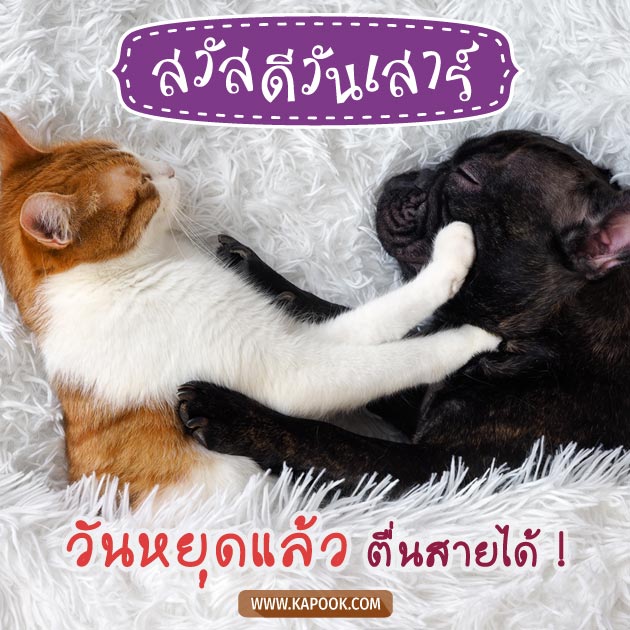 ดูดวงรายวัน ดูดวงรายวัน
