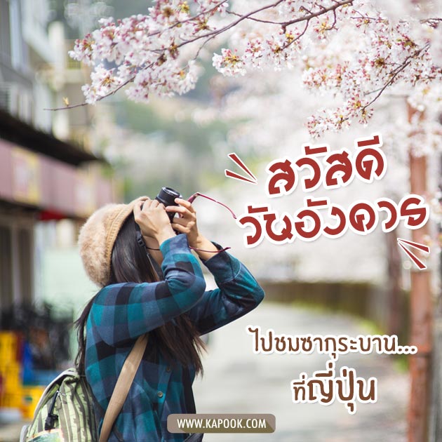 ดูดวงรายวัน ดูดวงรายวัน