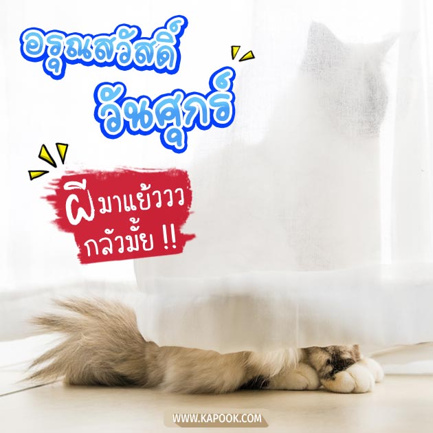 ดูดวงรายวัน ดูดวงรายวัน