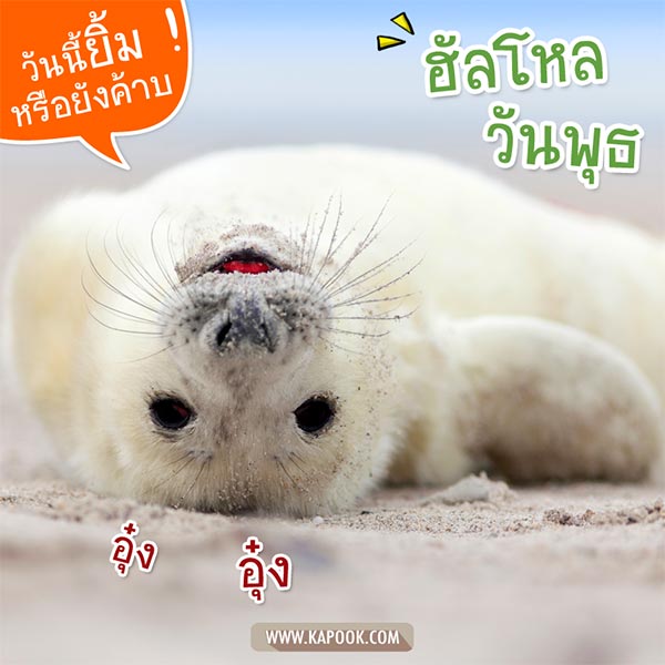 ดูดวงรายวัน ดูดวงรายวัน