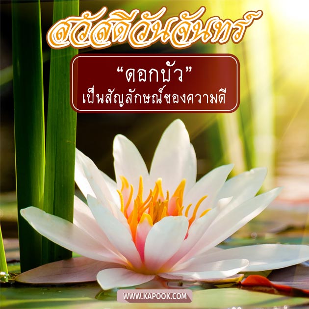 ดูดวงรายวัน ดูดวงรายวัน