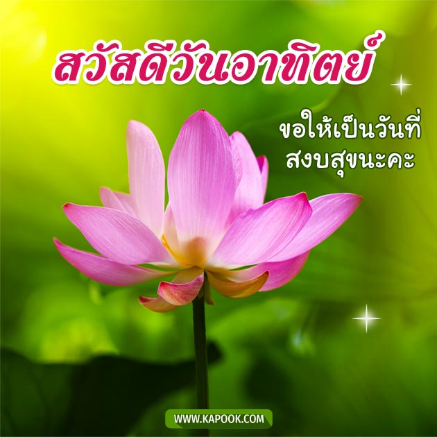 ดูดวงรายวัน ดูดวงรายวัน
