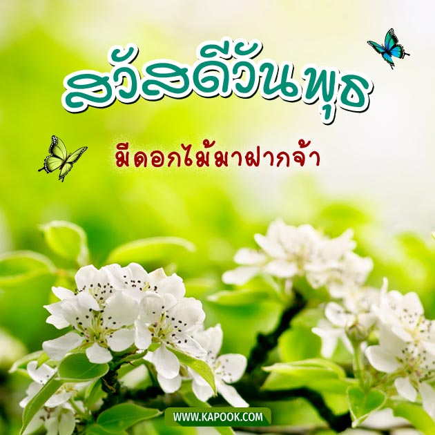 ดูดวงรายวัน ดูดวงรายวัน
