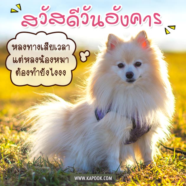 ดูดวงรายวัน ดูดวงรายวัน