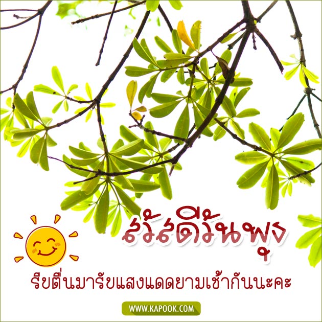 ดูดวงรายวัน ดูดวงรายวัน