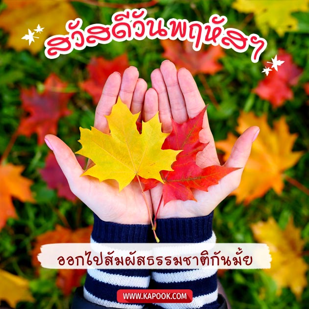 ดูดวงรายวัน ดูดวงรายวัน
