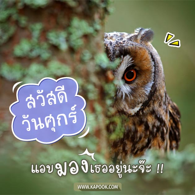 ดูดวงรายวัน ดูดวงรายวัน