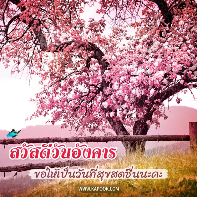 ดูดวงรายวัน ดูดวงรายวัน