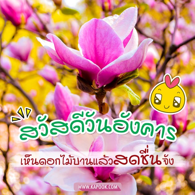 ดูดวงรายวัน ดูดวงรายวัน