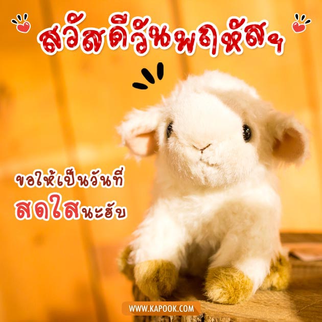 ดูดวงรายวัน ดูดวงรายวัน