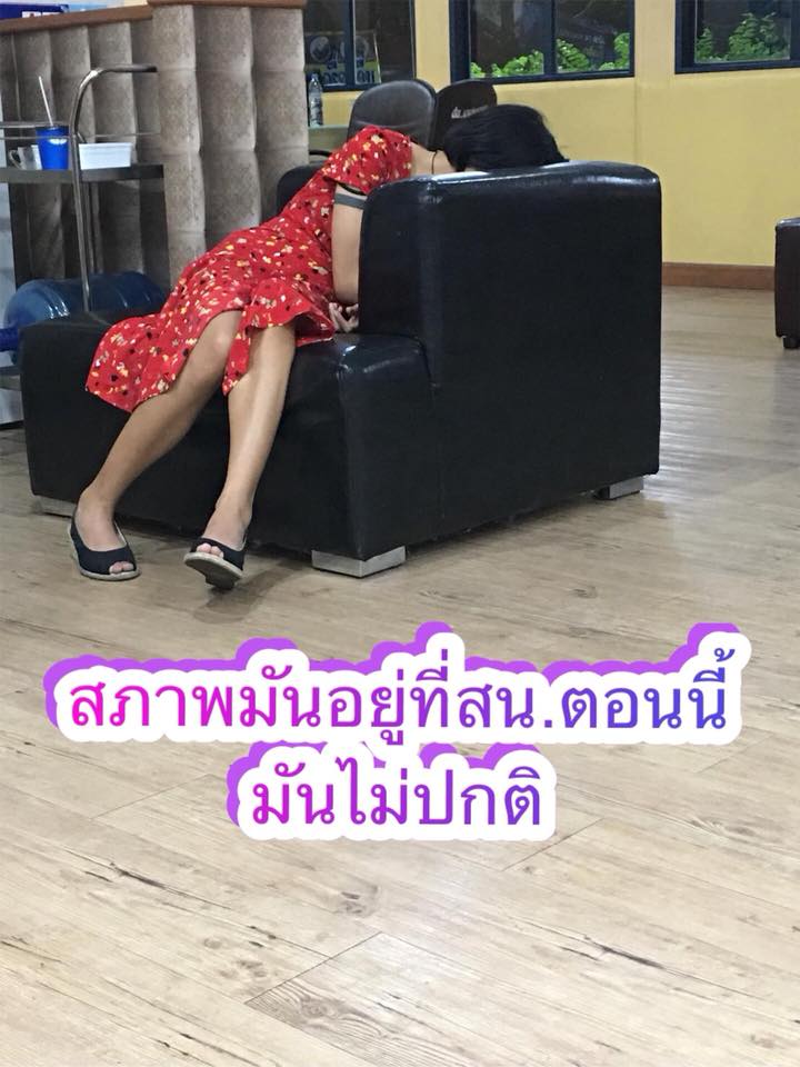 ดีเจสาวฆ่าลูกแมว ดีเจสาวฆ่าลูกแมว
