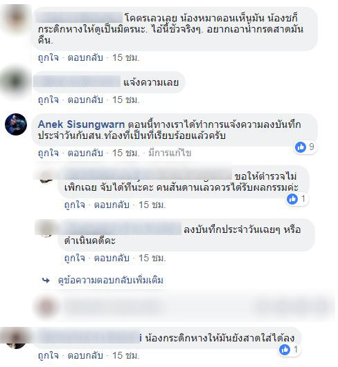 ทำร้ายหมา ทำร้ายหมา
