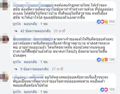 พิทบูลขย้ำพระ พิทบูลขย้ำพระ