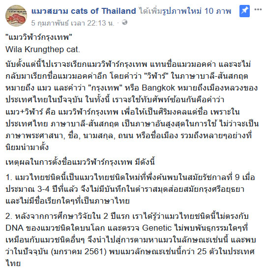 วิฬาร์กรุงเทพ แมวไทยสายพันธุ์ใหม่