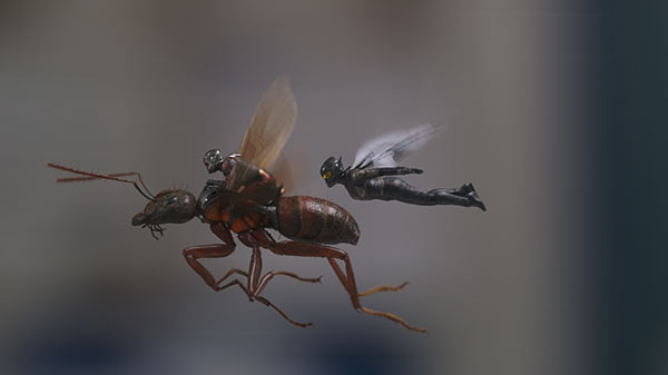 Ant Man 2