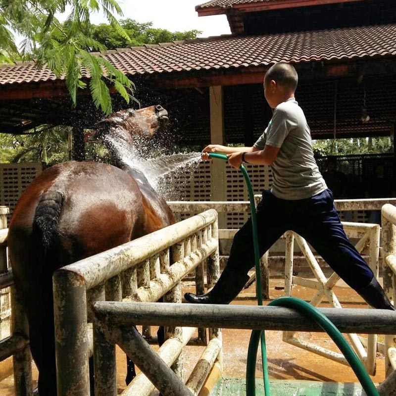 น้องปราบ ลูก สู่ขวัญ บูลกุล น้องปราบ ลูก สู่ขวัญ บูลกุล